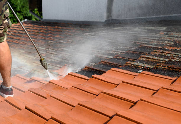 Best Pressure Washing Near Me  in Carrollton, KY