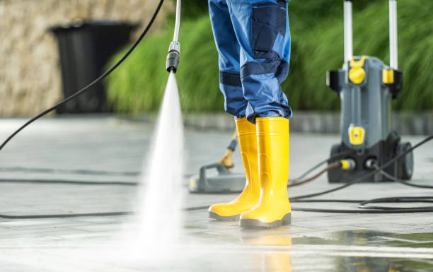 Best Power Washing Near Me  in Carrollton, KY