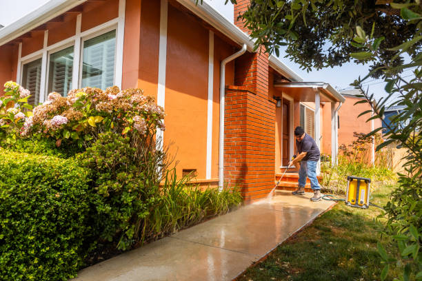 Best Deck Pressure Washing  in Carrollton, KY