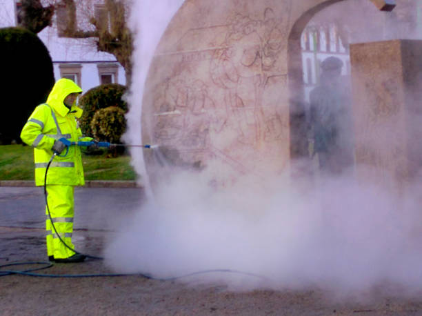 Best Roof Power Washing Services  in Carrollton, KY