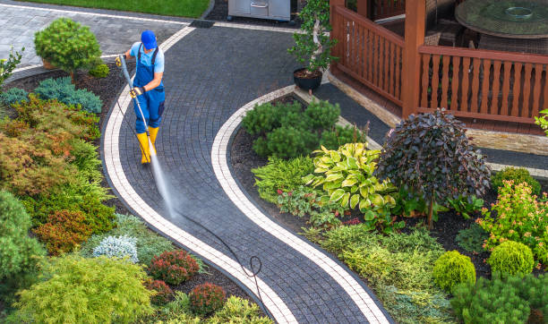 Best Residential Pressure Washing Services  in Carrollton, KY